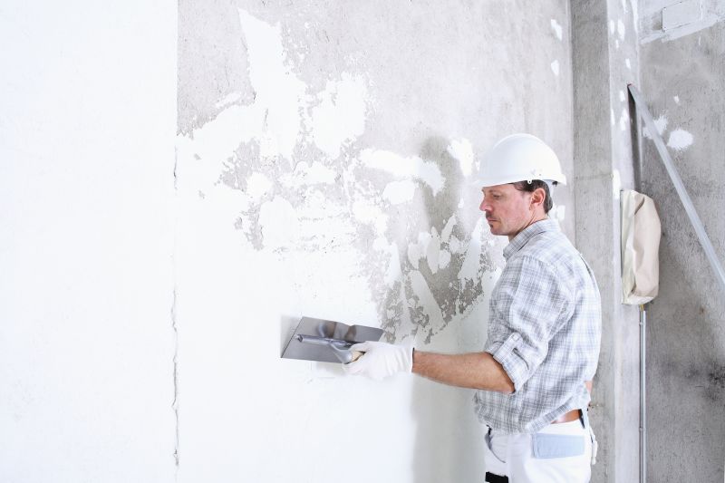 Local Plaster Repair pros at work