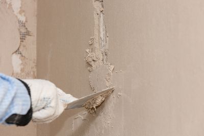 Plaster Repair