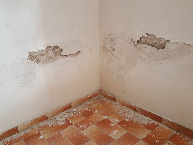 Interior Wall Repair